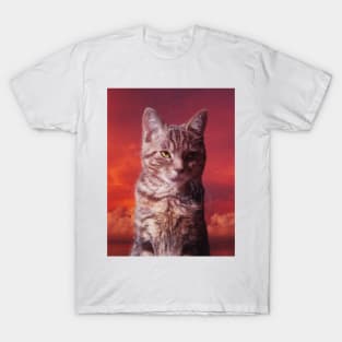 Grey tabby cat in the red sky T-Shirt